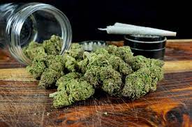 Indian Women Arrested in 32.5 Million Thailand Weed Smuggling