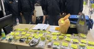 Russian Woman Caught Impersonating Doctor in Phuket