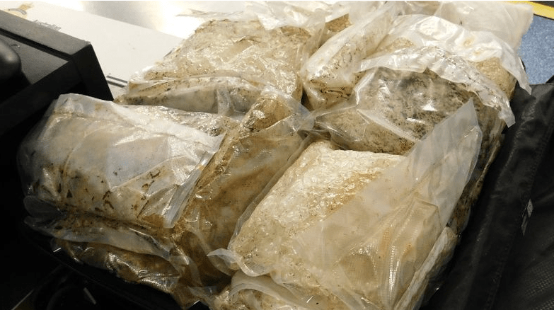 French Man Caught Smuggling $20M Meth into Australia