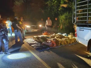 Half Tonne of Crystal Meth Seized in Chiang Mai Drug Chase