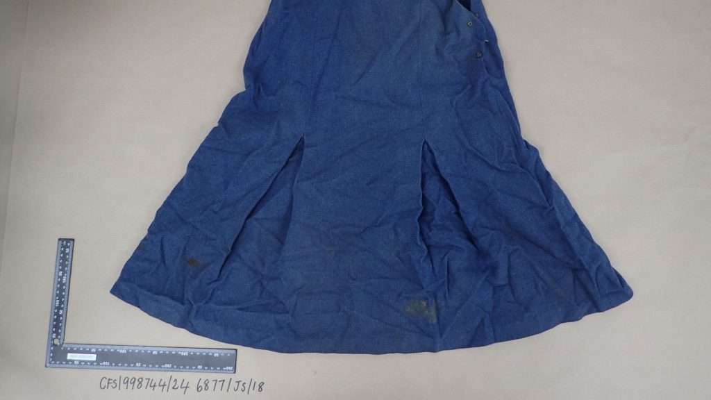Louisa Dunne's skirt