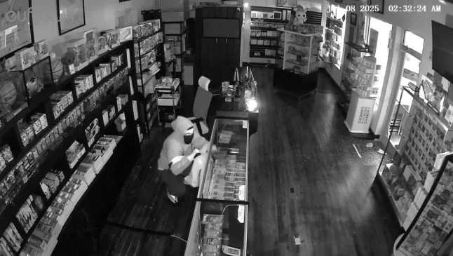 Massachusetts Burglar Steals $100K in Rare Pokémon Cards