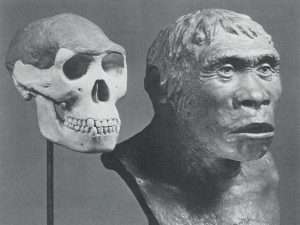 The Fake Ape Man Hoax of 1912
