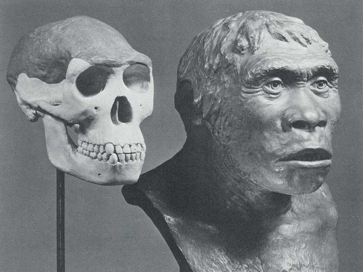 The Fake Ape Man Hoax of 1912