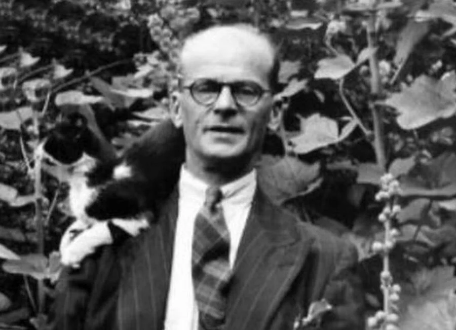 The Monster of 10 Rillington Place The Twisted Crimes of John Reginald Halliday Christie