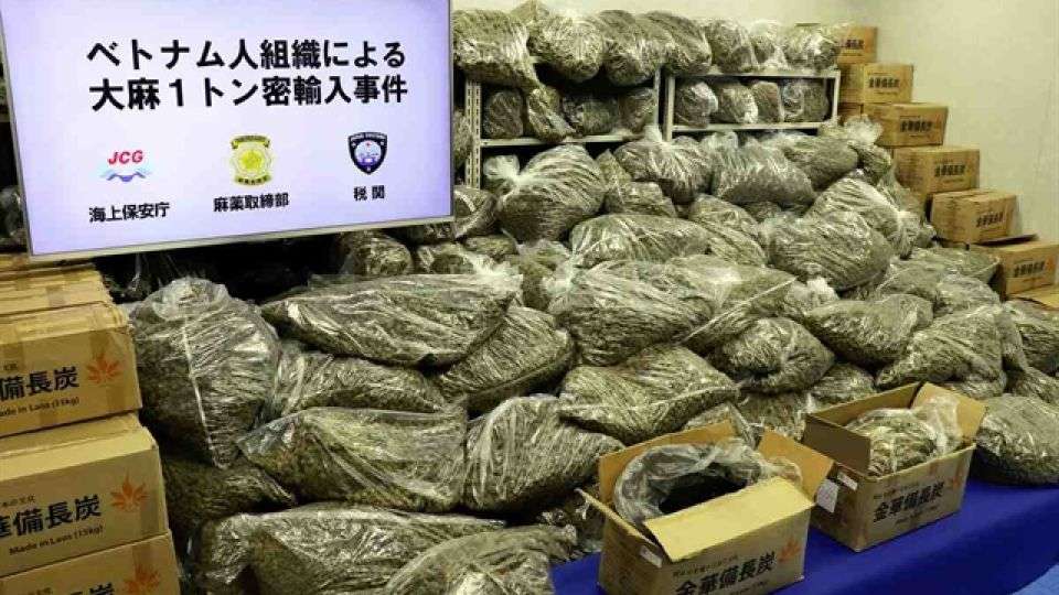 Vietnam Responds to Japan’s $35M Cannabis Seizure