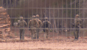 Manhunt for Dezi Freeman Enters Day Eight in Victoria