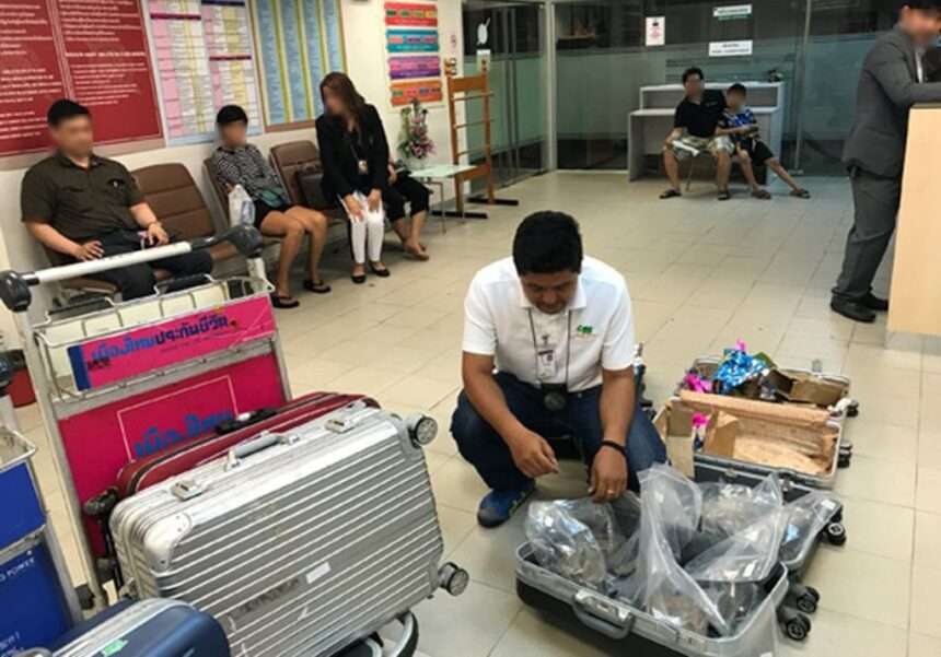 Vietnamese Man Caught Smuggling Rhino Horns in Bangkok